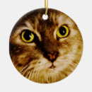 Suche nach gelbe katze ornamente Tier