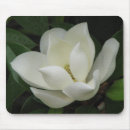 Suche nach magnolien mousepads Blume