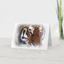 Suche nach sibirischer tiger karten Wild