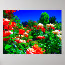 Suche nach psychedelisch kunst Rose