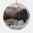 Suche nach kälber ornamente Tier