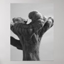 Suche nach gardening poster Plant