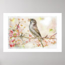 Suche nach spatzen poster Beeren