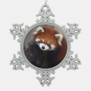 Suche nach roter panda ornamente Foto
