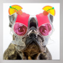 Suche nach ihr bild hier poster Hund