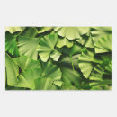 Suche nach ginkgo blätter aufkleber Natur