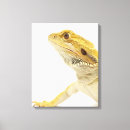 Suche nach drache leinwandbilder Tier