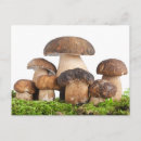 Suche nach brauner hintergrund postkarten Herbst