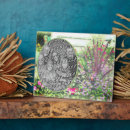 Suche nach garten fotoplatten Blumen