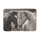 Suche nach pferdeliebe Tiere