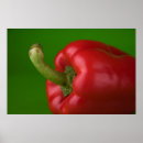 Suche nach paprika poster Gewürz