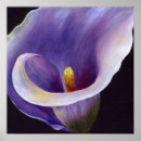 Suche nach calla lily poster Lilies