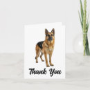 Suche nach schäferhund karten Für sie