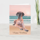Suche nach doggen alle karten Jede person