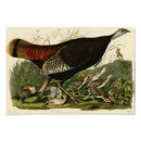 Suche nach vintage tiere poster Landschaft