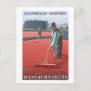 Suche nach original postkarten Staaten