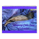 Suche nach schöne katzen kalender Tiere