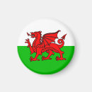 Suche nach roter drache magnete Wales