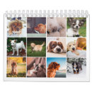 Suche nach welpen kalender Hundekalender