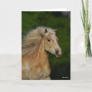 Suche nach haflinger karten Kopfschuss