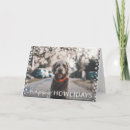 Suche nach voll karten Für sie/ihn