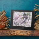 Suche nach kirsche fotoplatten Blume