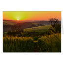 Suche nach getreide pflanze postkarten Bauernhof