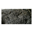 Suche nach koralle poster Jede person