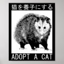 Suche nach japanische katze poster Kätzchen