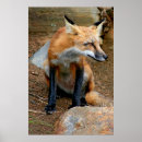 Suche nach beautiful poster Photography