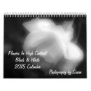 Suche nach hoch kalender Blume