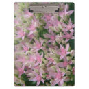 Suche nach rosa blumen klemmbrett Wildblumen