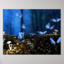 Suche nach magische pilze poster Natur