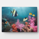Suche nach sail fotoplatten Nautical