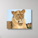 Suche nach ruhe… dann poster leinwandbilder Druck
