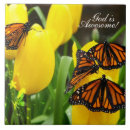 Suche nach schmetterlinge fliesen Jede person