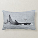 Suche nach doppel kissen Wale