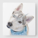 Suche nach siberian husky wanduhren Snow dog