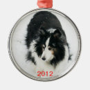 Suche nach sheltie Niedlich
