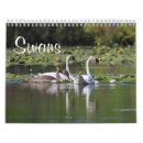 Suche nach schwan kalender Natur
