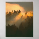Suche nach redwood poster Amerika