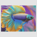 Suche nach betta fische Blau