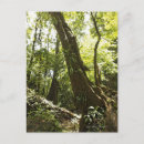 Suche nach dominica postkarten Natur