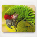 Suche nach profil mousepads Kalifornien