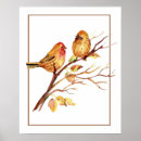 Suche nach niedlicher vogel poster Vogelvogel