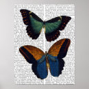 Suche nach butterfliege poster Zeitgenössisch