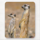 Suche nach wachsamkeit mousepads Tier