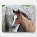 Suche nach stute mousepads Western