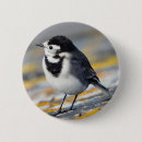 Suche nach vogel abzeichen buttons Natur