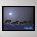 Suche nach wolf und mond poster Kanada